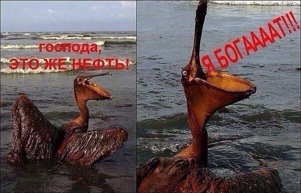Народная меДИЧина 2004