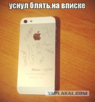 Бюджетный вариант гламурной кисы