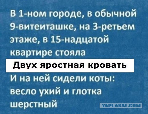 Всего понемногу. От 17.01.24