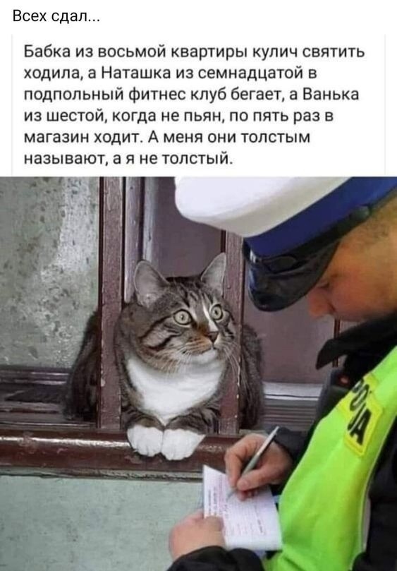 Весёлый полтишок 23.06.24