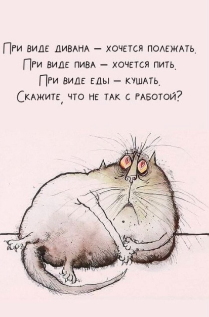 Весёлый полтишок 26.07.24