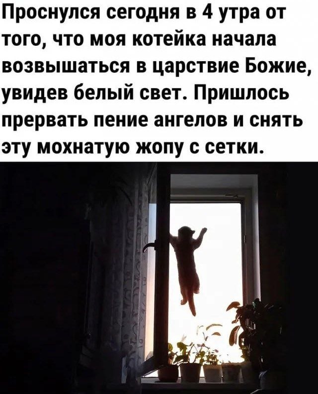 Сборник бабаянов или неожиданная помойка