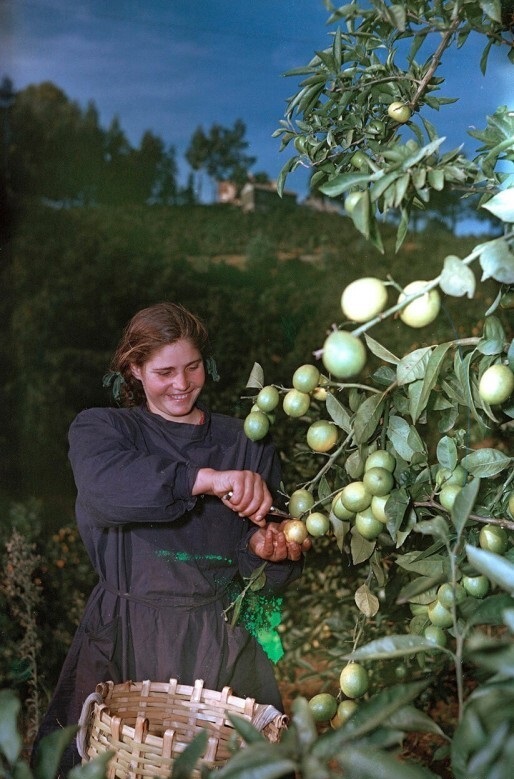 Фотографии из прошлого нашей страны – 95