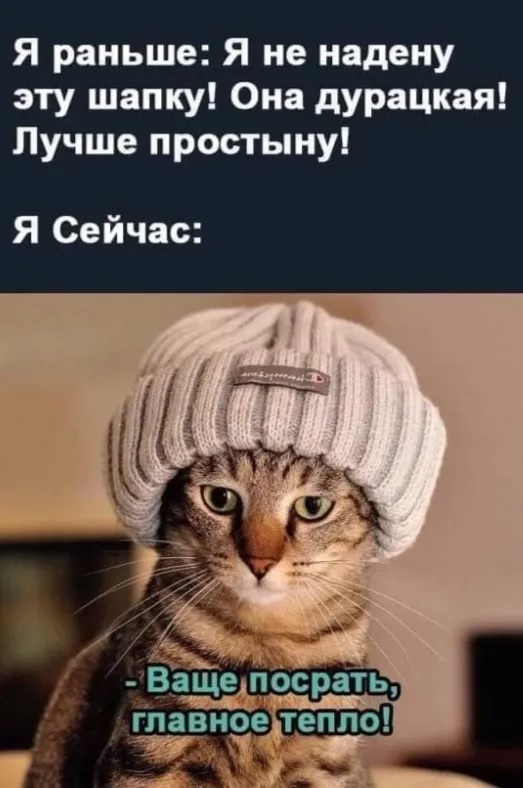 Веселое настроение в картинках (31.07.2025)