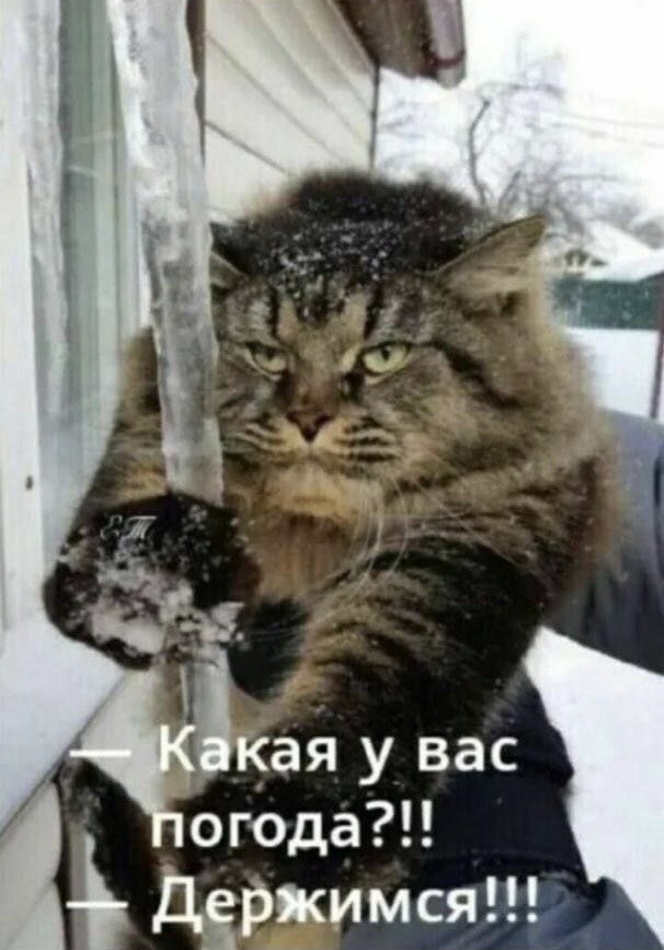 А что у вас с погодой?
