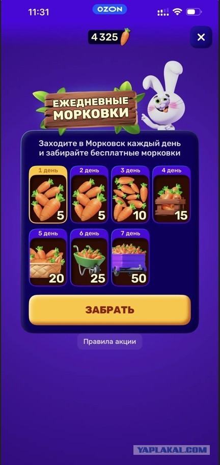 "Морковск" - попал на долг морковками