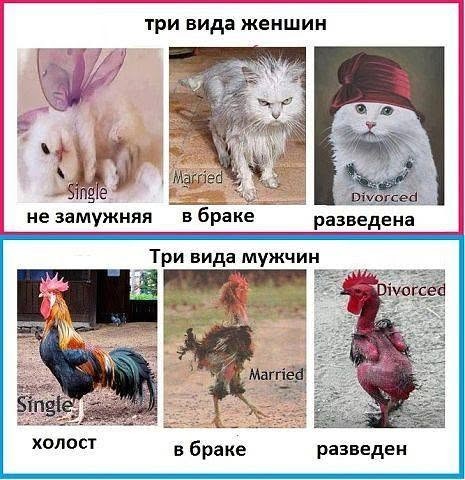 Так себе картинки 11.07.26