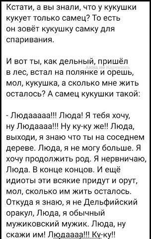 Картинки на среду