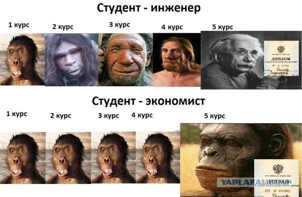 Чем занимаются студенты философского факультета