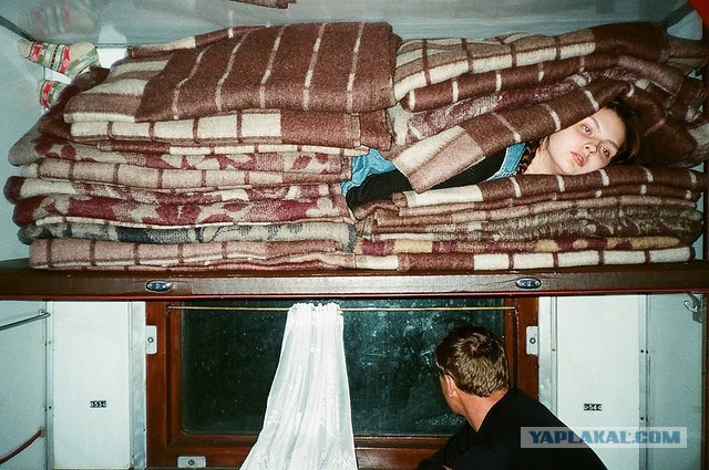 Перлы из сетей