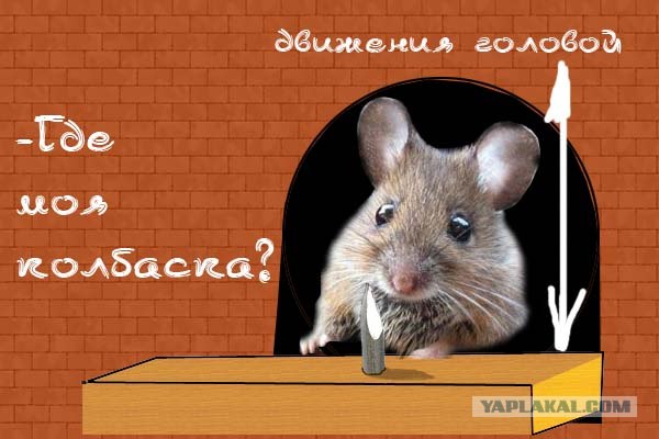 что это такое?
