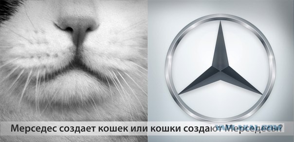 Свеженькое