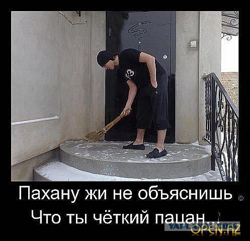 Смешные комментарии из соц. сетей