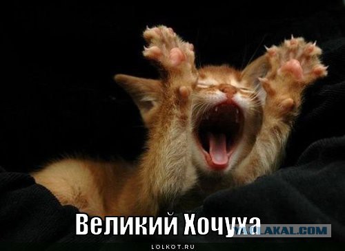 Я хочу замуж