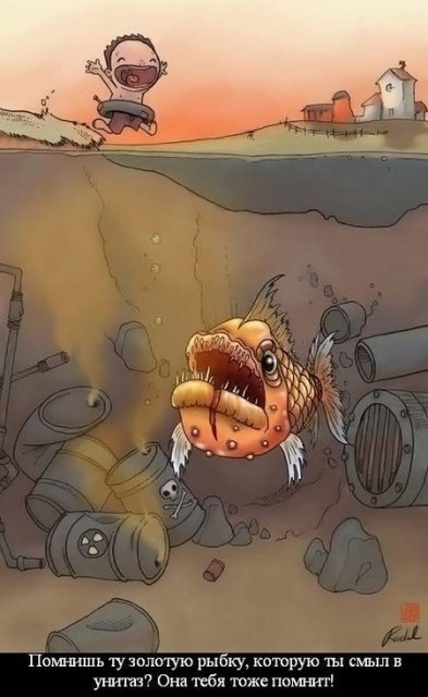 Вот что поймали....