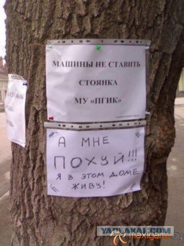 20 объявлений месяца, которыми мы гордимся