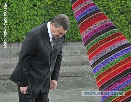 Центральная ёлка страны (Киев)