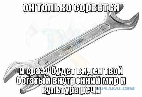 Смешные картинки