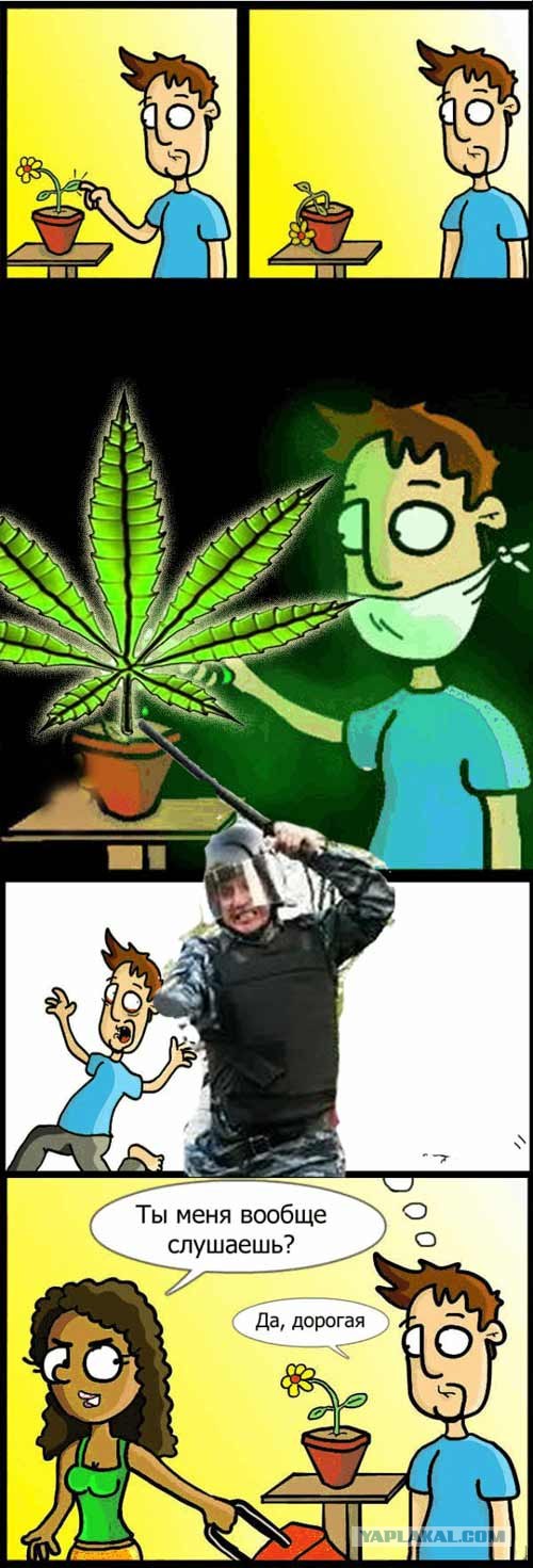 Позаботься о моих цветах