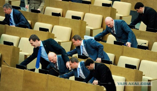 Кнопкодавы