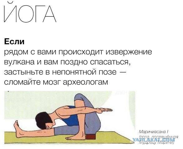 Прикольные фото и картинки