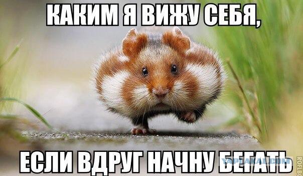 Немного картинок