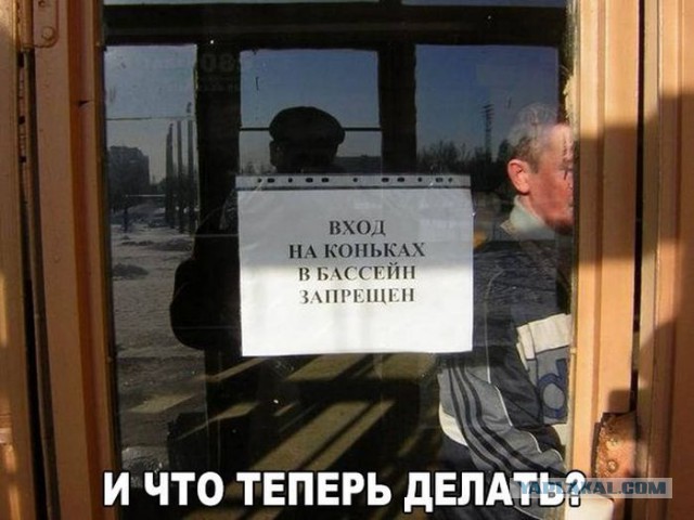 Веселые картинки