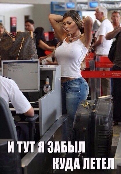 Прикольные картинки