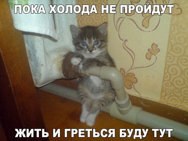 Разные картинки