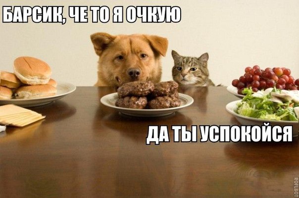 Картинки разные 2