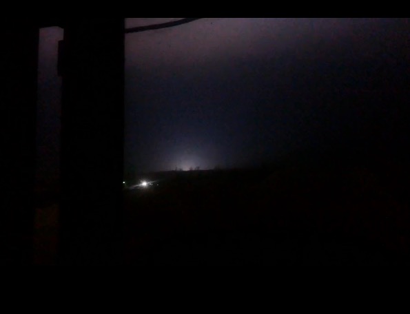 Исчезающая собака