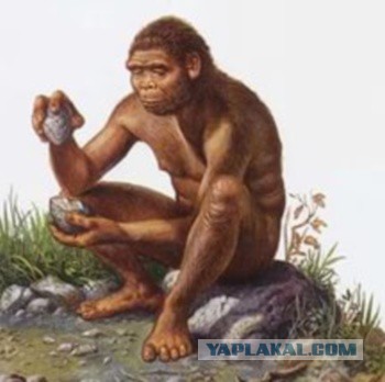 Греф: Россию спасёт отказ от образования