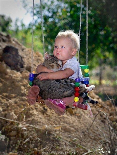Дети и коты
