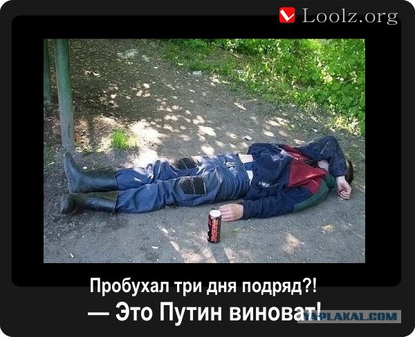 Сходил в магазин...