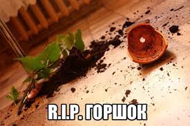 Да здравствует Король! Посвящение Михаилу Горшенёву