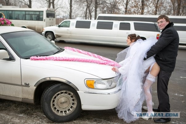 Картинки из ваших интернетов, 18+