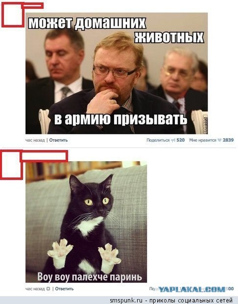 Вредные советы от Правительства РФ