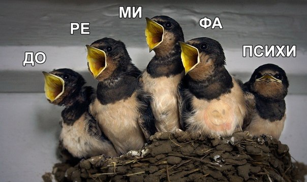 Божьи твари