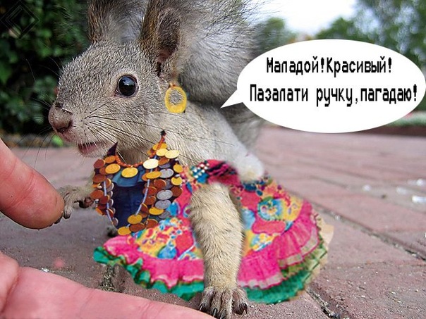 Да я только сфотографировать хотела