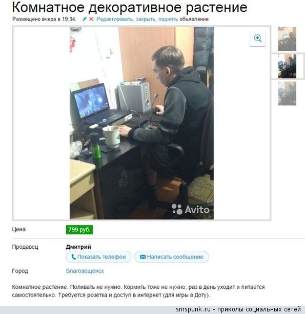 Объявления с Авито