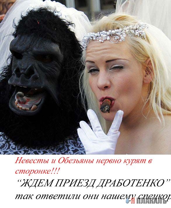 Фотожаба: Желтая пресса