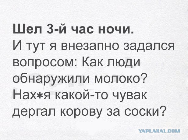 Порция картинок из сети