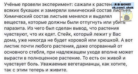 Если мясоеды - демоны, то можно ли считать шашлык на природе - дьявольским шабашем?