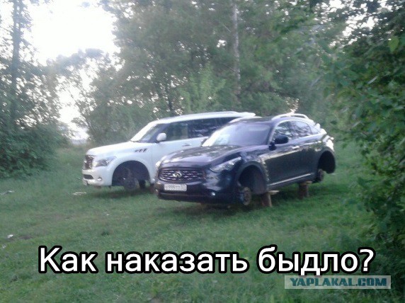 Царь приехал!