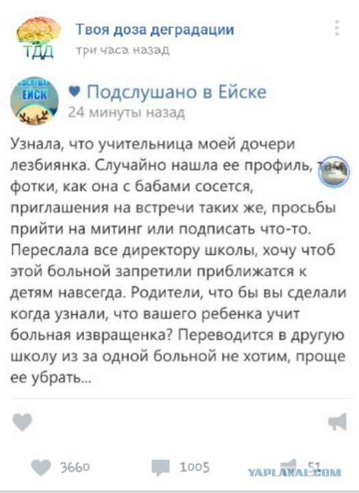 А ведь это жизнь
