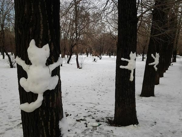 Удивительные снимки с российских просторов