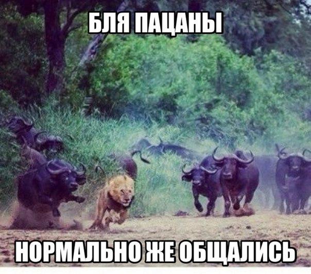 Всякое разное из сети