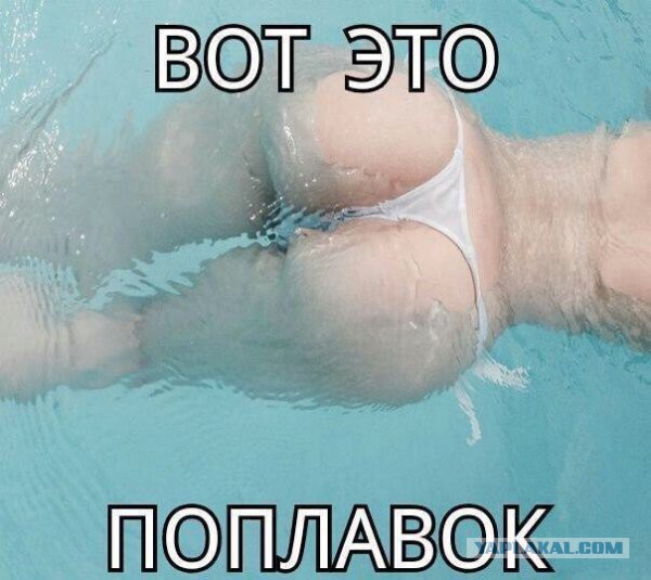 Подборка интересных и веселых картинок