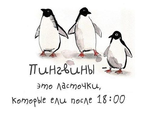 Подборка интересных и веселых картинок