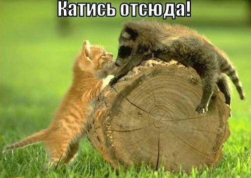 Актеры, которые чуть не погибли на съемках фильмов
